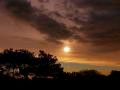 01-DSC09337-.