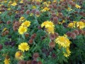 04-DSC03458