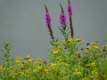 23-DSC03628