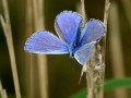 28-DSC03658
