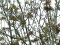 02-DSC03435-