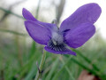 12-DSC03577-