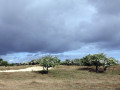 37-DSC03852