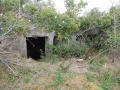 Bunker