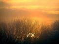 27-DSC00059-Zonsopkomst.