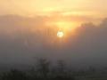 28-DSC00064-Zonsopkomst-in-mist.