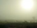 31-DSC00143-Mist-Haasveld.