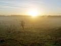 32-DSC00083-Zon-met-mist-Westhoek.