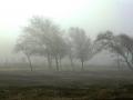 36-DSC00180-Mist-Westhoek.