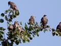 01-DSC06990-