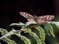 02-DSC08389-
