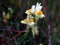 17-DSC06922-