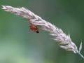 19-DSC06974-