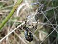 23-DSC07167-