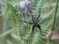 26-DSC07232-