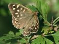 32-DSC08382-