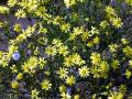 41-DSC07360-