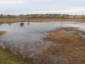 4.-Starrenbroek-AWD