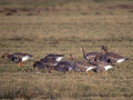 788A0215-