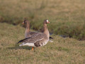 788A0227-