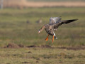 788A0240-