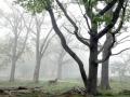 01-DSC00535-