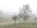 02-DSC00536-.