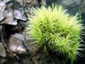 04-DSC00556-