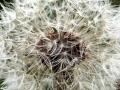 07-DSC00629-