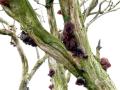 24-DSC00816-