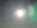 01-DSC03344-