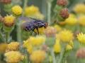 02-DSC03859-