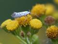 04-DSC03514-