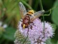 07-DSC04606-