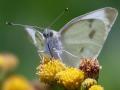 12-DSC04222-
