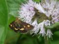 19-DSC04547-