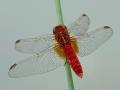 27-DSC02832-