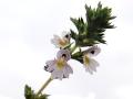 40-DSC04289-