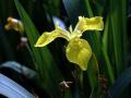 13-DSC04363-