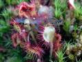 17-DSC04460-