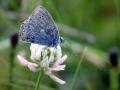 20-DSC04510-
