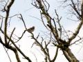 38-DSC04826-