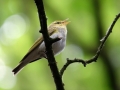 05 DSC00771