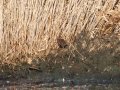 20251213_20251213-0Q2A2175-Waterral-1