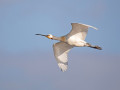 788A5311-