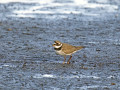 788A5392-