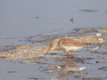 788A5761-