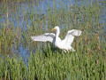 788A6108-