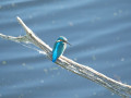 788A6235-