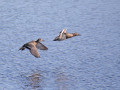 788A6359-